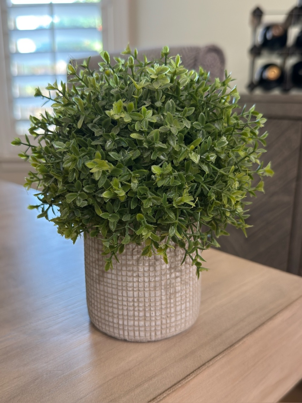 Decorative Green Faux Boxwood Plant in Cream Textured Planter